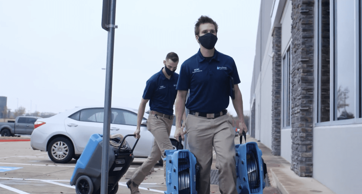 dry force water removal specialists arrive at home