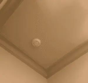 fire alarm included