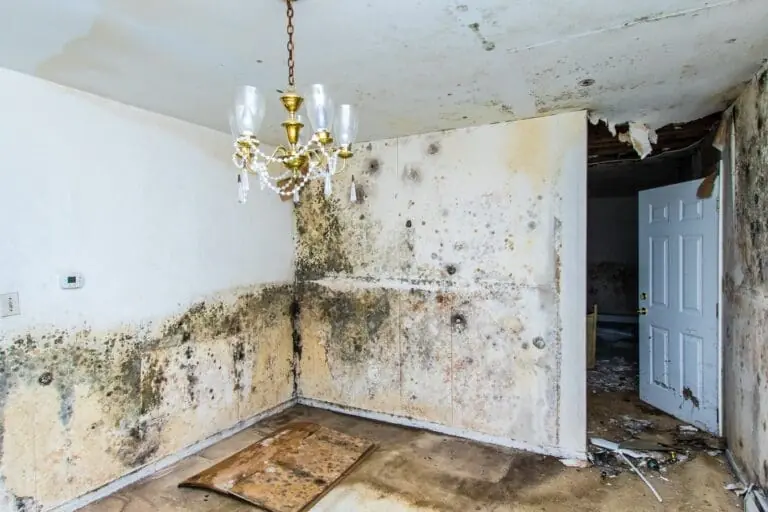 Water Damage