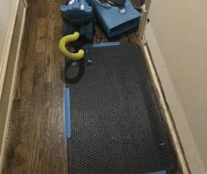 Applied Structural Drying - DryForce Restoration