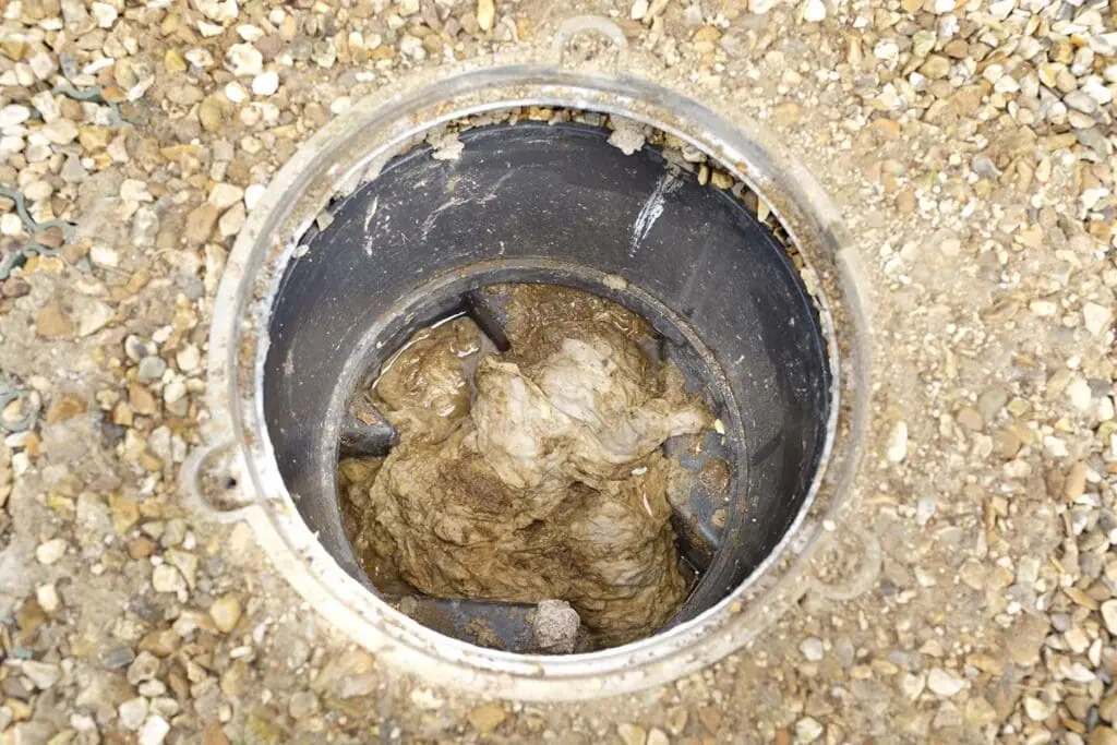 Sewage Backup