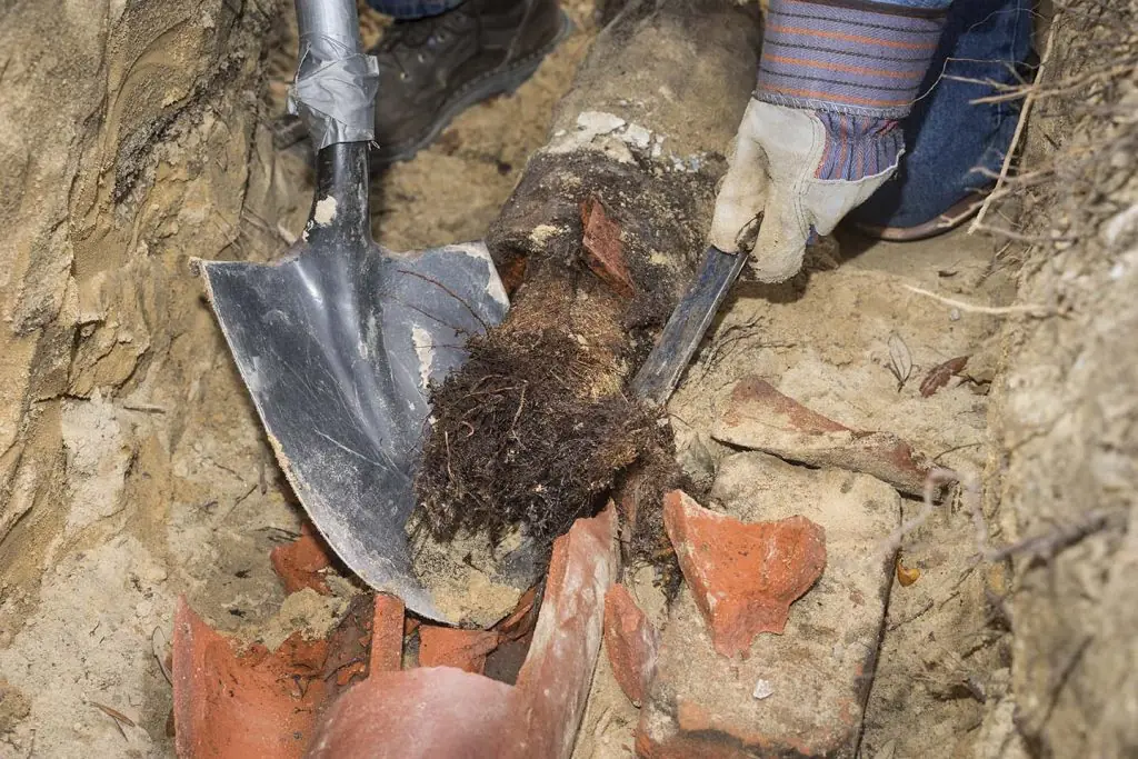 How to Respond to a Flooded Crawl Space - DryForce Restoration Water Damage Restoration Services