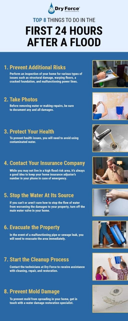 Top 8 Things To Do in the First 24 Hours After a Flood | Dry Force
