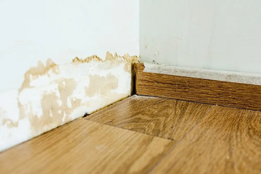 Water Damage