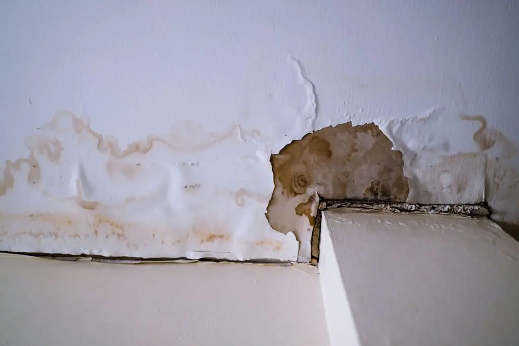 Wall warping from water damage