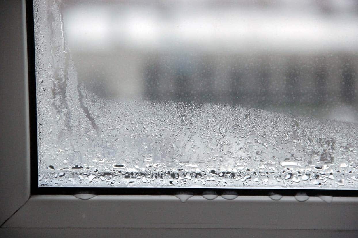 Condensation on Window