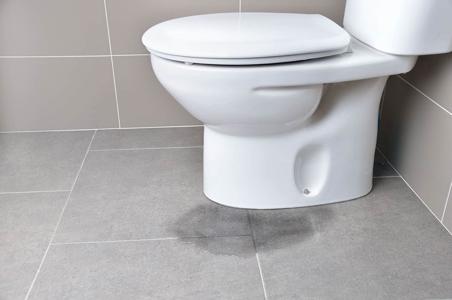 toilet-leak