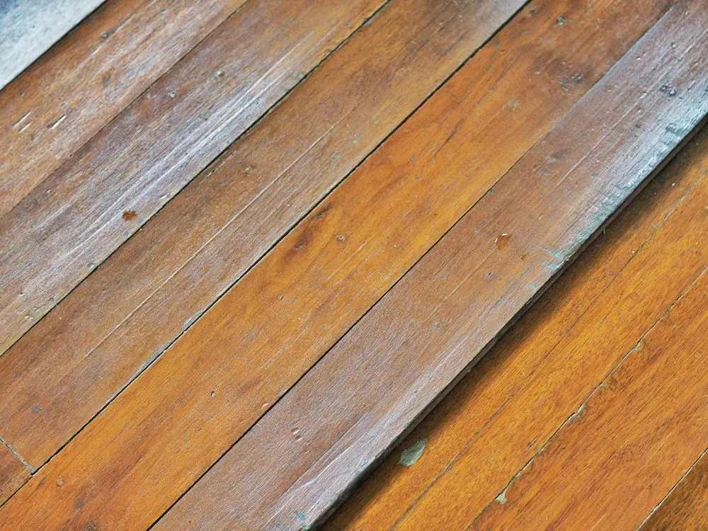 4 Signs Of Water Damage On Wood Floors - DryForce Restoration 4 Signs of Water Damage On Wood Floors