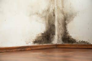 How to Repair Water Damage to Your Drywall & Ceiling