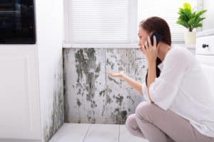 7 Ways To Prevent Mold in Your Home