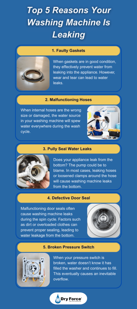 Top 5 Reasons Your Washing Machine is Leaking Infographic