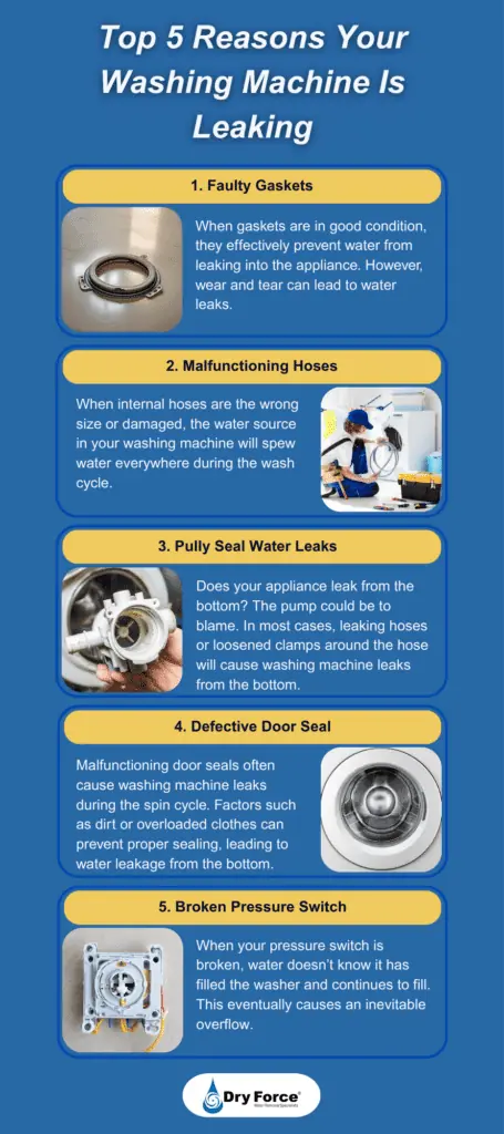 Top 5 Reasons Your Washing Machine is Leaking Infographic