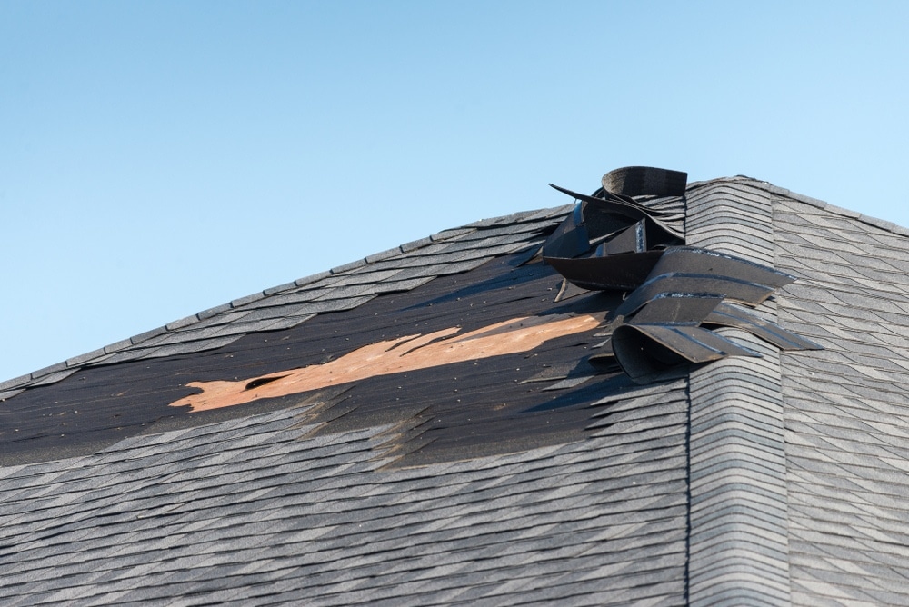 Top Signs Of a Roof Leak & Ways to Prevent Water Damage