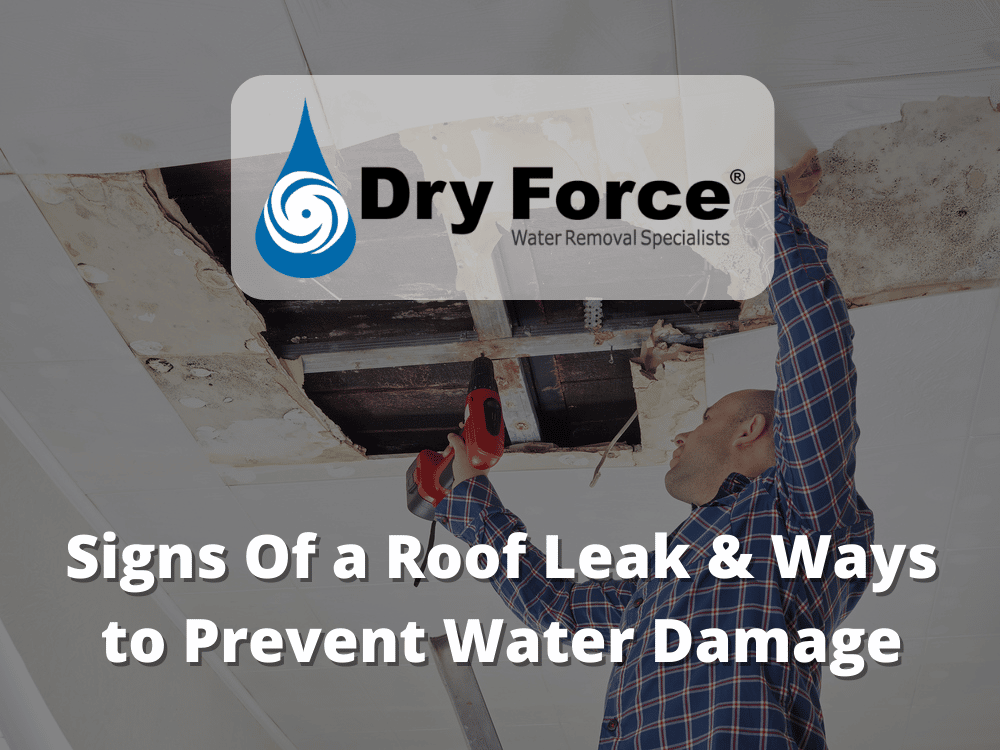 Top 8 Signs Of a Roof Leak & Ways to Prevent Water Damage