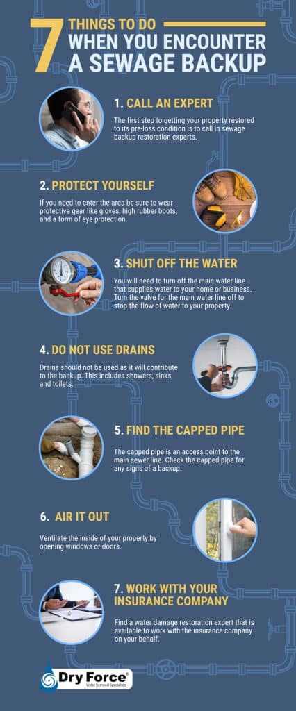 7 Things to Do When You Encounter a Sewage Backup