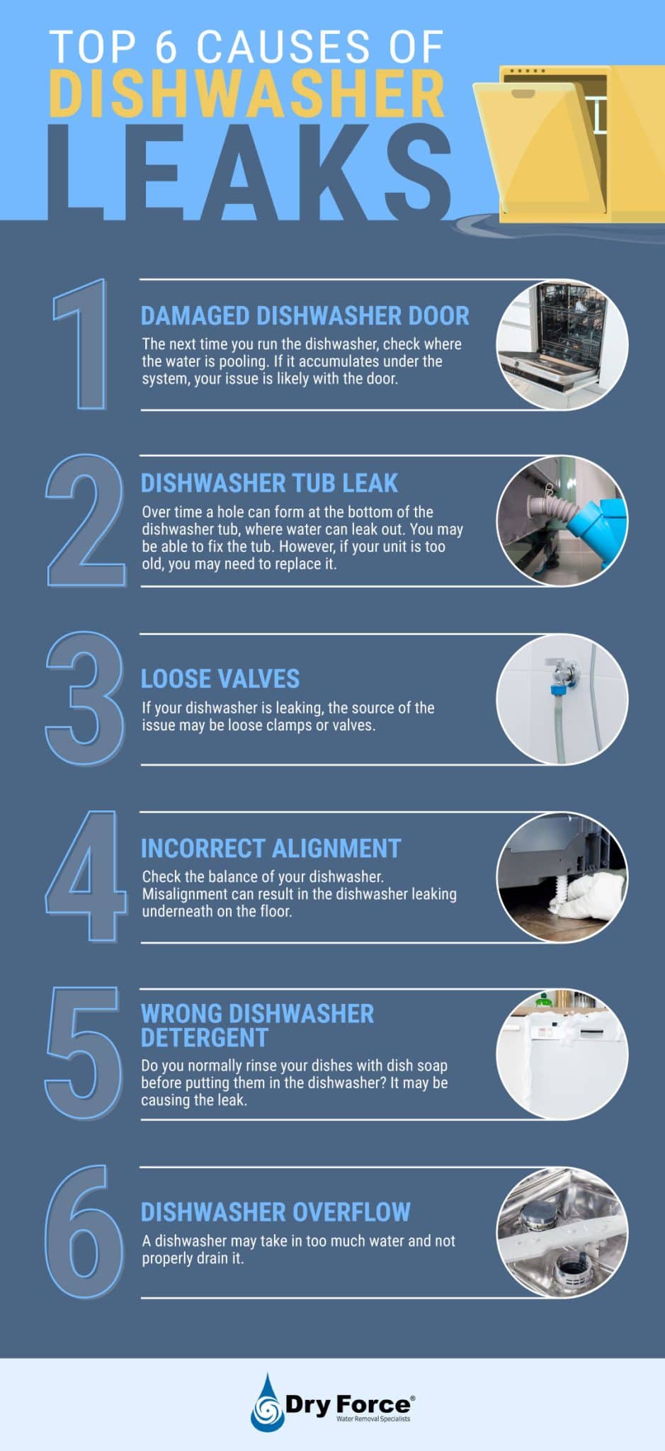 Why Is My Dishwasher Leaking? 6 Causes & Ways to Respond