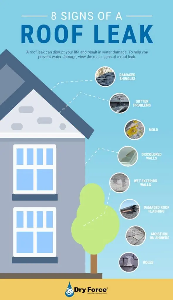 Top 8 Signs Of a Roof Leak & Ways to Prevent Water Damage