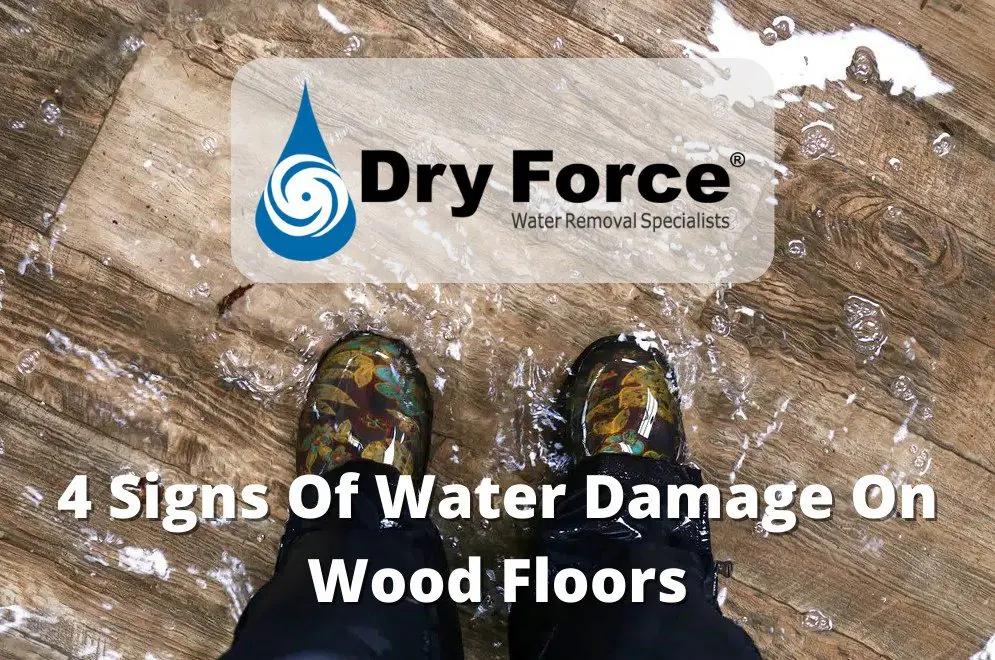 4 Signs Of Water Damage On Wood Floors - DryForce Restoration 4 Signs Of Water Damage On Wood Floors