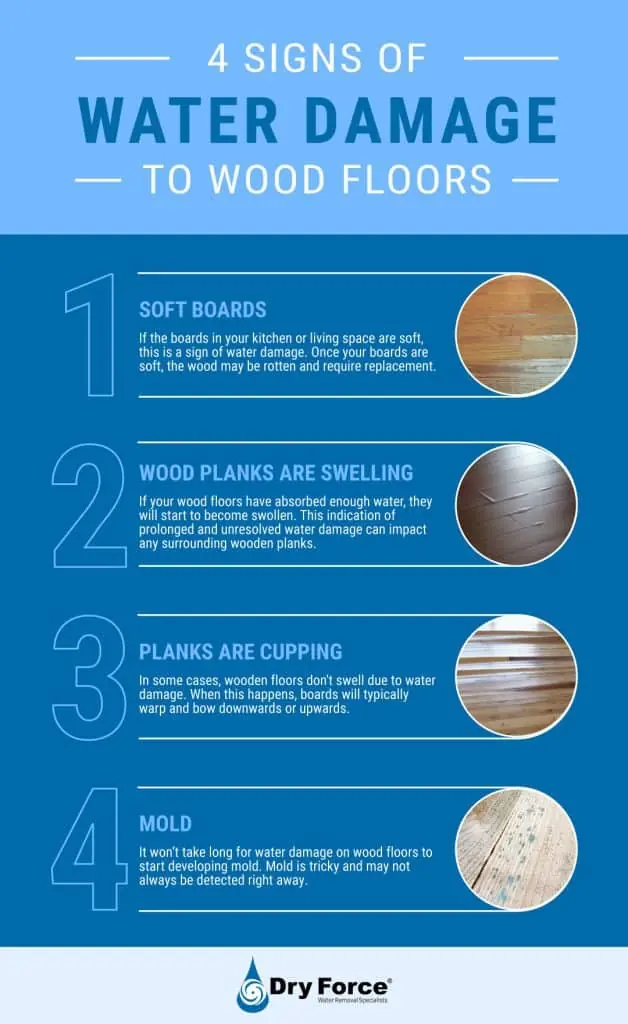 4 Signs Of Water Damage On Wood Floors - DryForce Restoration 4 Signs Of Water Damage On Wood Floors