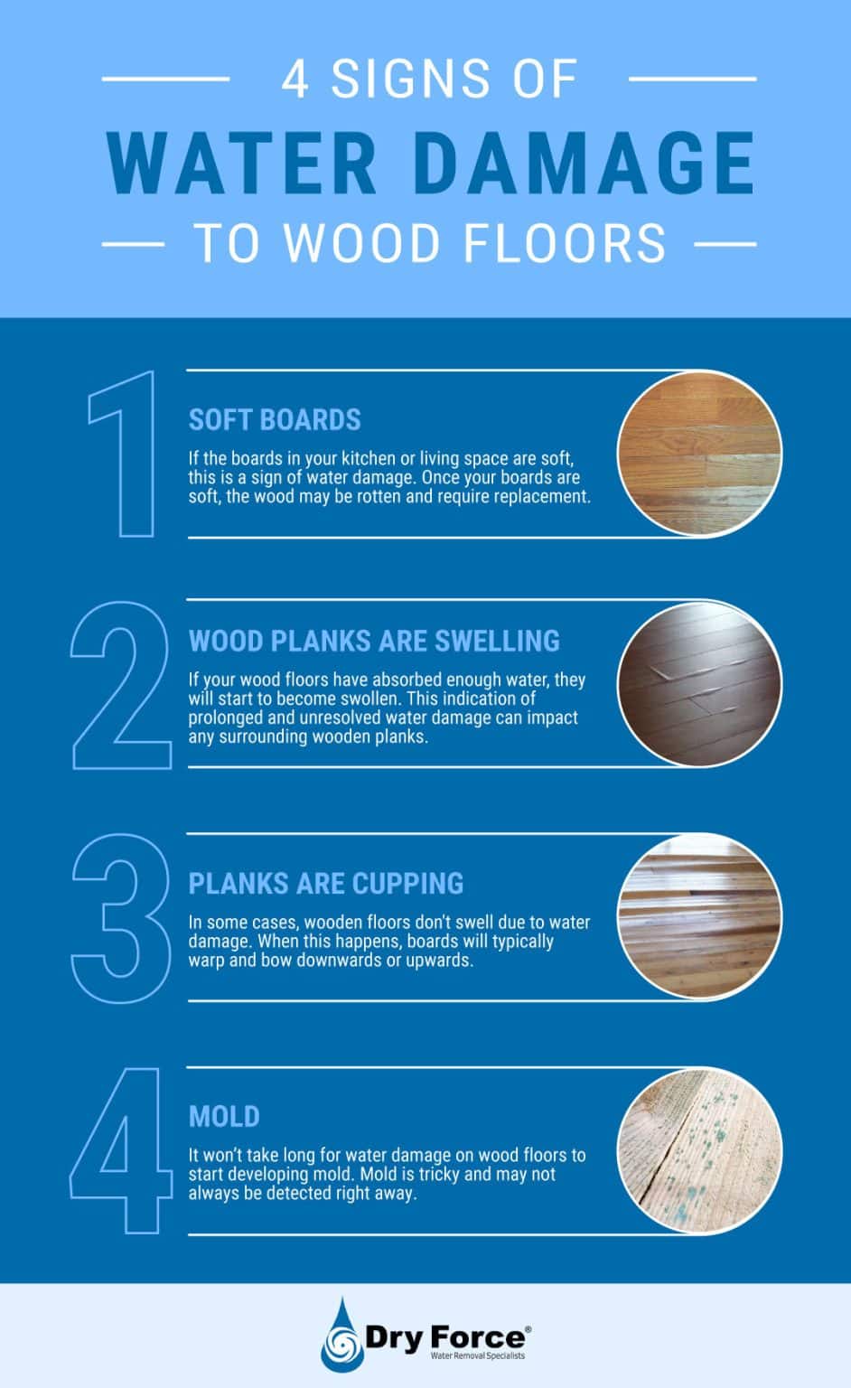 4 Signs Of Water Damage On Wood Floors Dry Force
