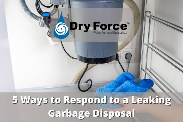 5 Ways to Respond to a Leaking Garbage Disposal Dry Force