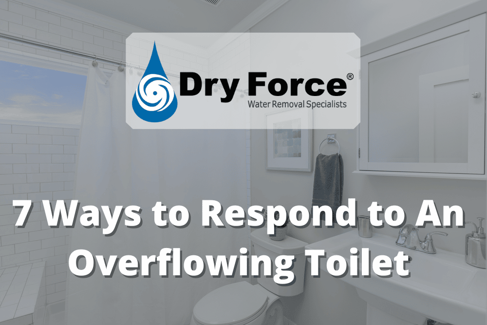 7 Ways to Respond to An Overflowing Toilet