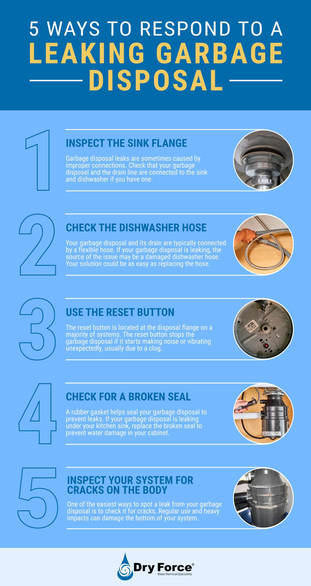 5 Ways to Respond to a Leaking Garbage Disposal Dry Force