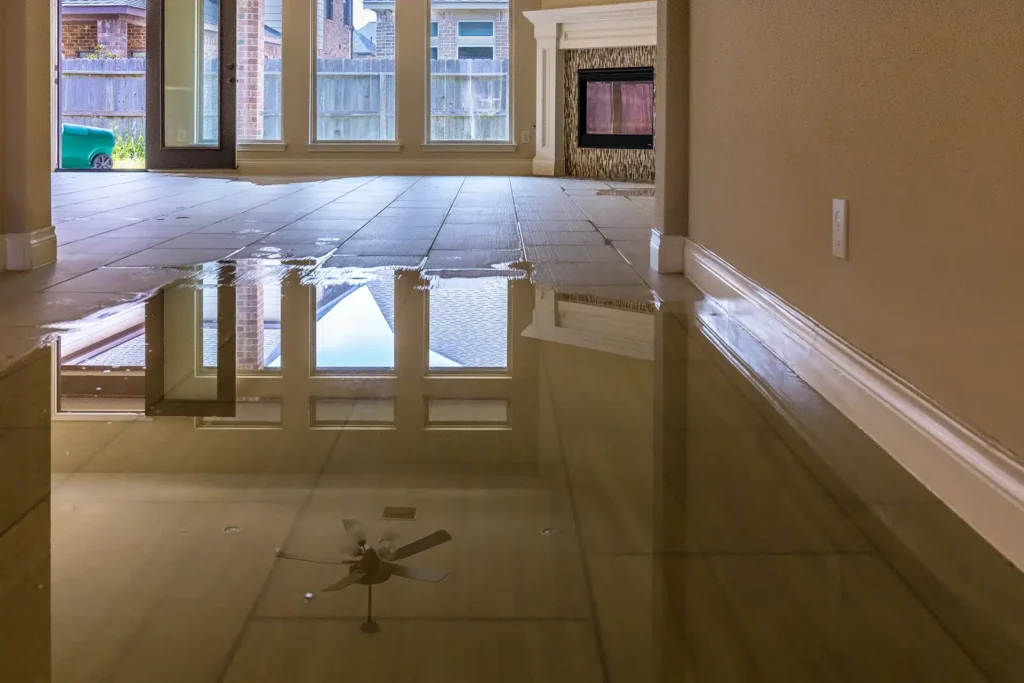 Standing water in home