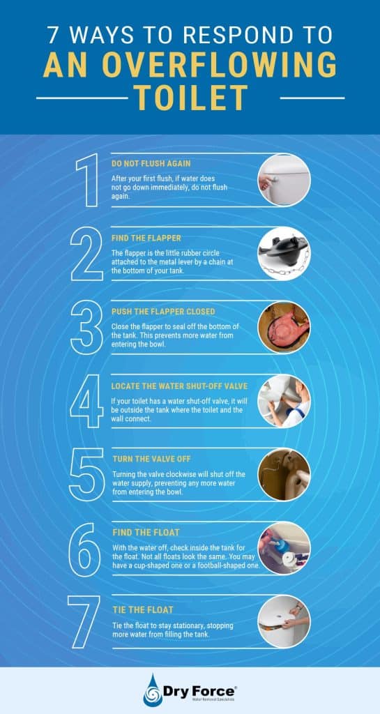 7 Ways to Respond to An Overflowing Toilet Infographic