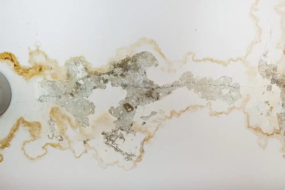 4 Causes of Water Stains On Your Ceiling and Ways to Respond - DryForce Restoration 4 Causes of Water Stains On Ceilings and Ways to Respond