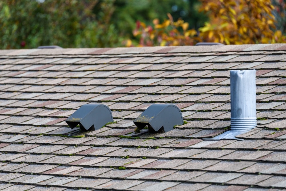 Featured image for “8 Ways to Respond to a Leaking Roof Vent”