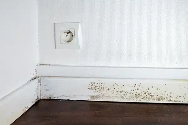 Floor mold