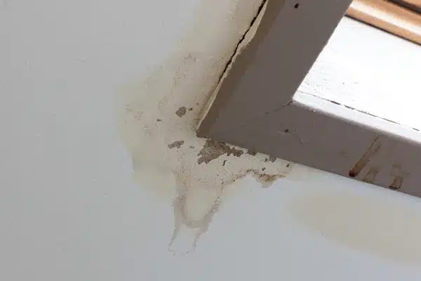 Attic Water Damage Repair Services - DryForce Restoration