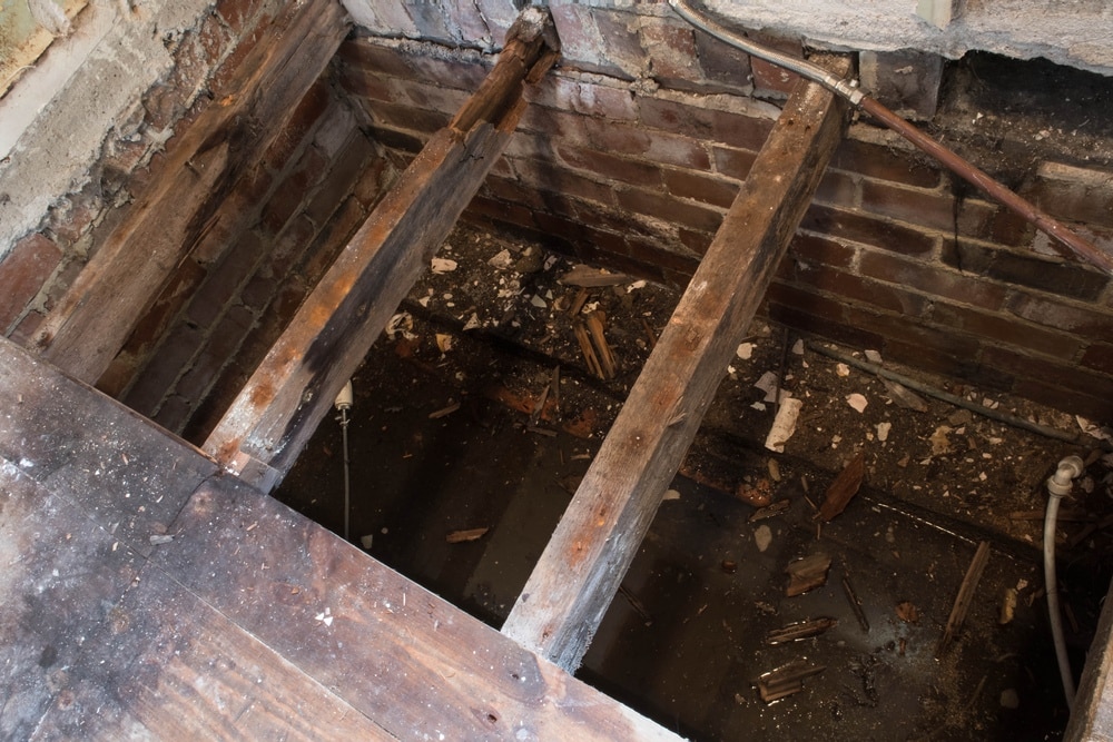 4 Causes of Rotten Floor Joists and Ways to Respond