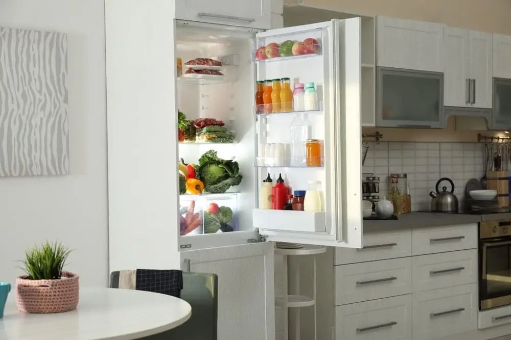 6 Reasons Your Freezer Is Leaking Water
