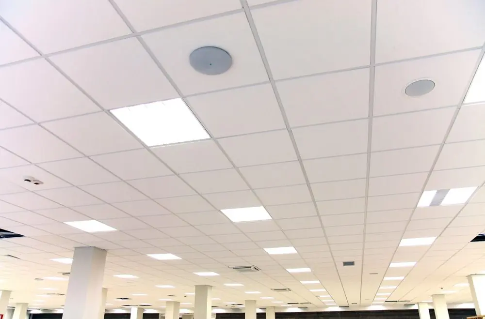How to Repair Ceiling Tiles With Water Damage - 5 Steps - DryForce Restoration How to Repair Ceiling Tiles With Water Damage