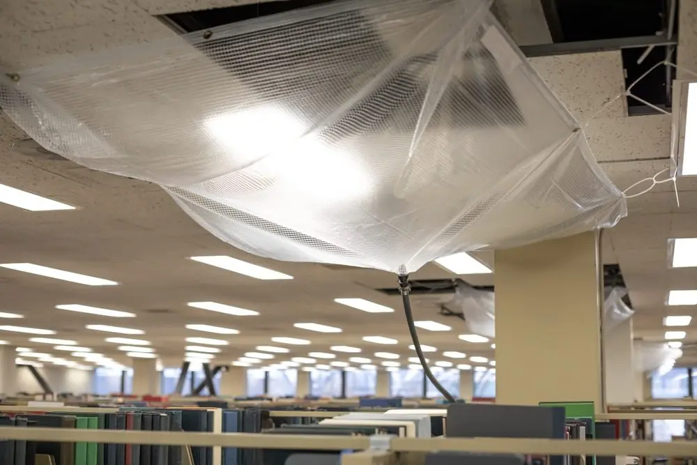 How to Repair Ceiling Tiles With Water Damage - 5 Steps - DryForce Restoration How to Repair Ceiling Tiles With Water Damage