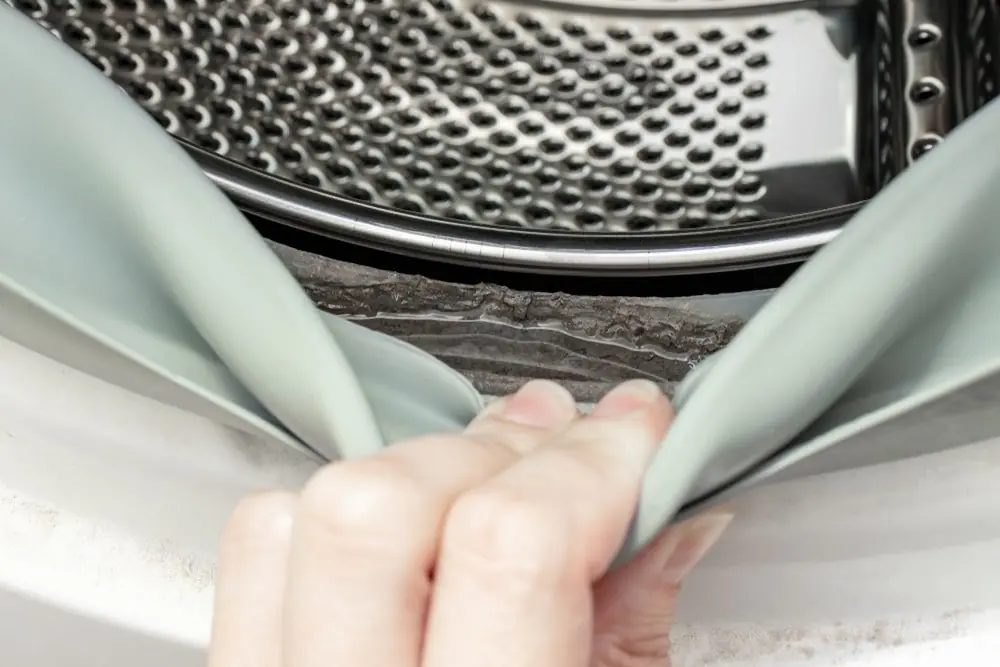 Mold growth in washing machine