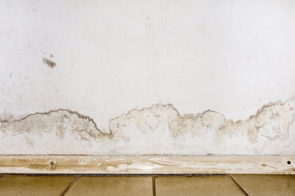 Flooding rainwater or floor heating systems, causing damage, peeling paint and mildew