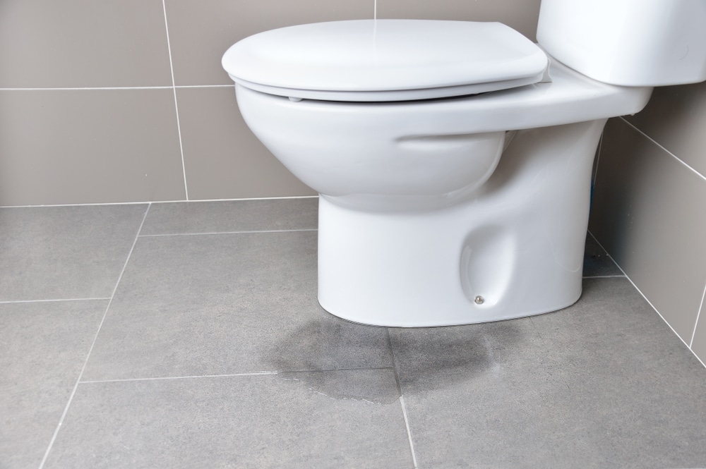 Toilet overflow