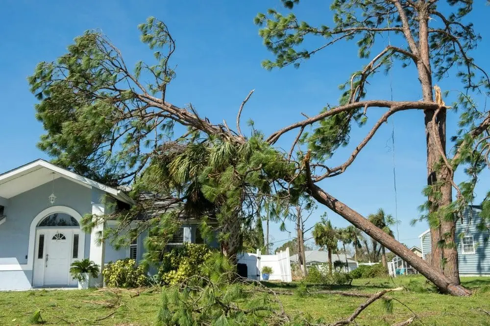 hurricane damage to house