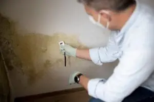 signs of water damage in walls