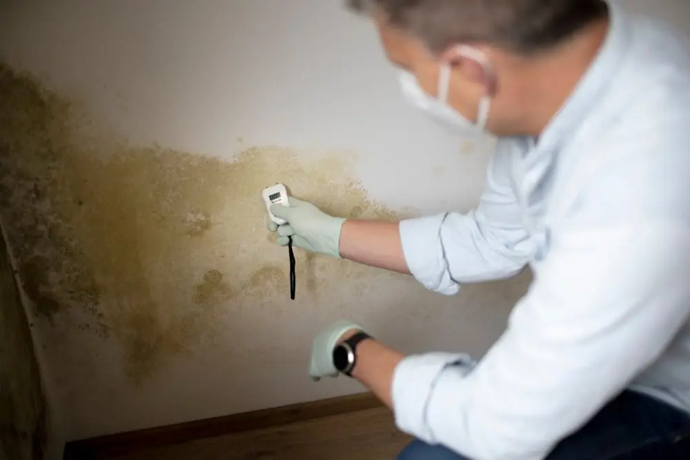 signs of water damage in walls