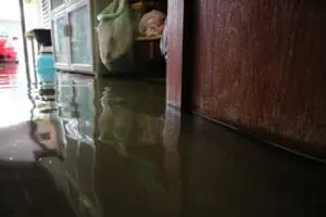 stagnant water in home