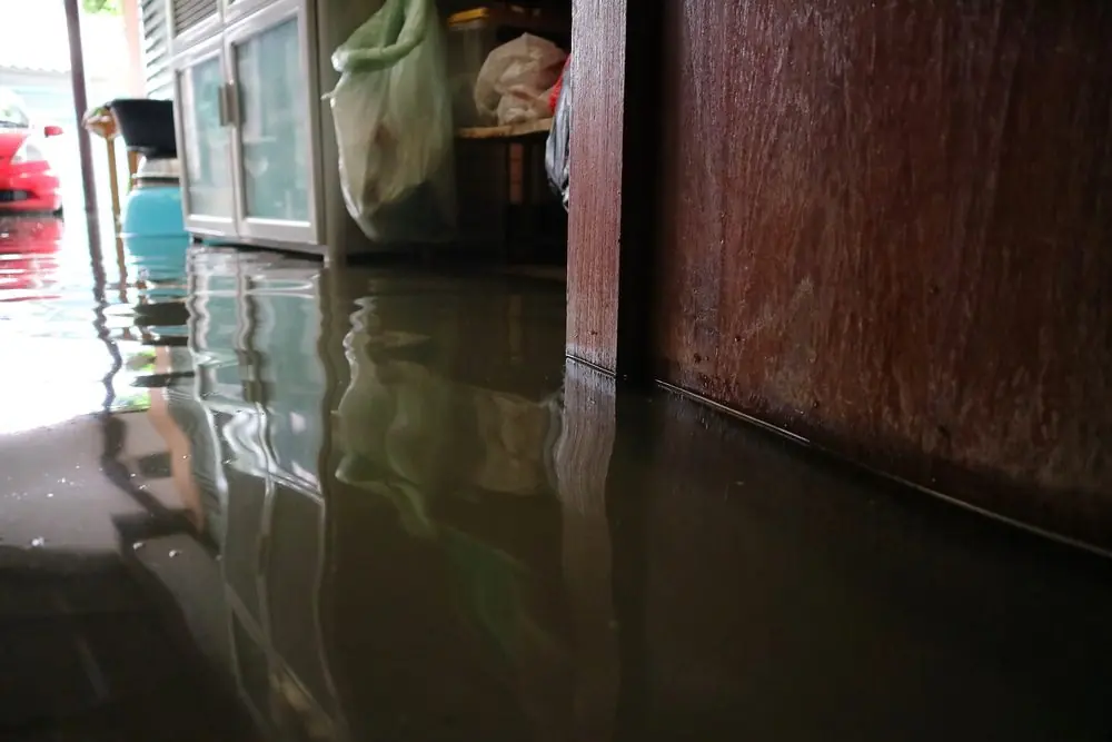 Stagnant Water in Your Home: What It Is and Why It’s Dangerous - DryForce Restoration Stagnant water in home