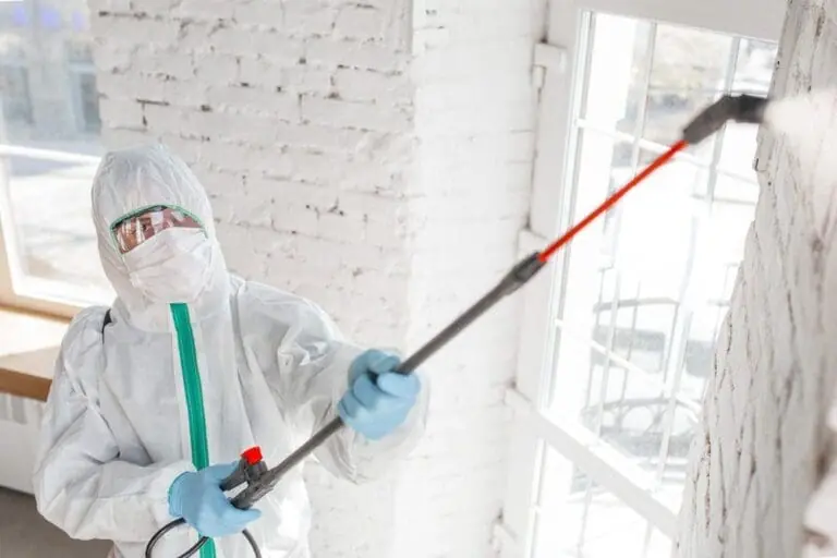 Spraying chemicals for mold removal