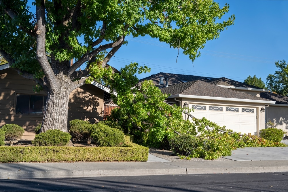 storm damage restoration service