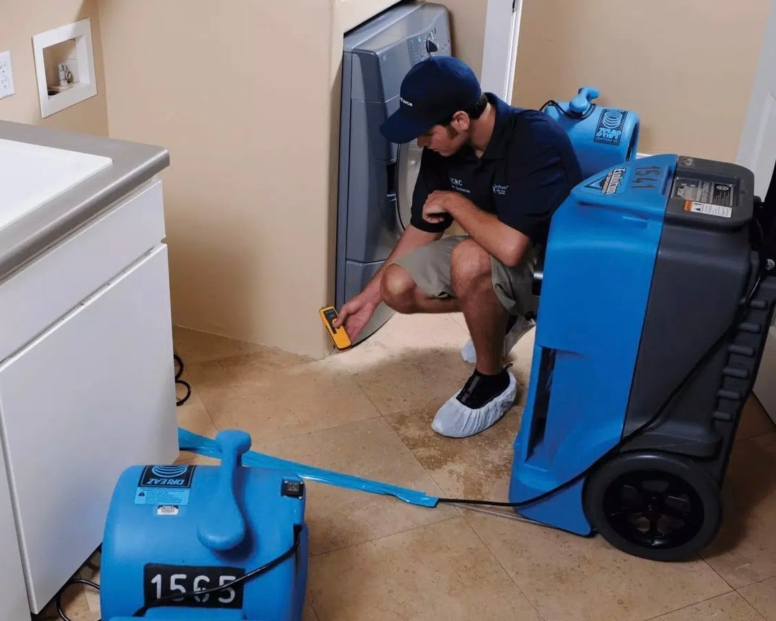 Moisture mapping services