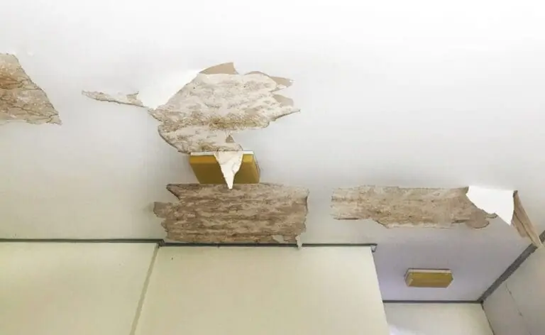 Common signs of water damage
