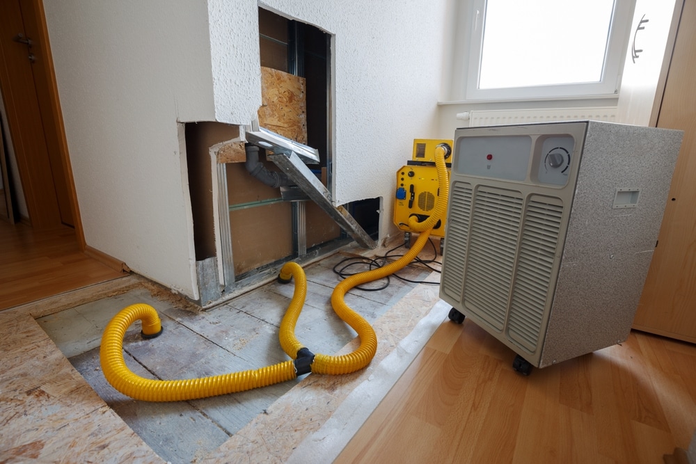 How to respond to water damage